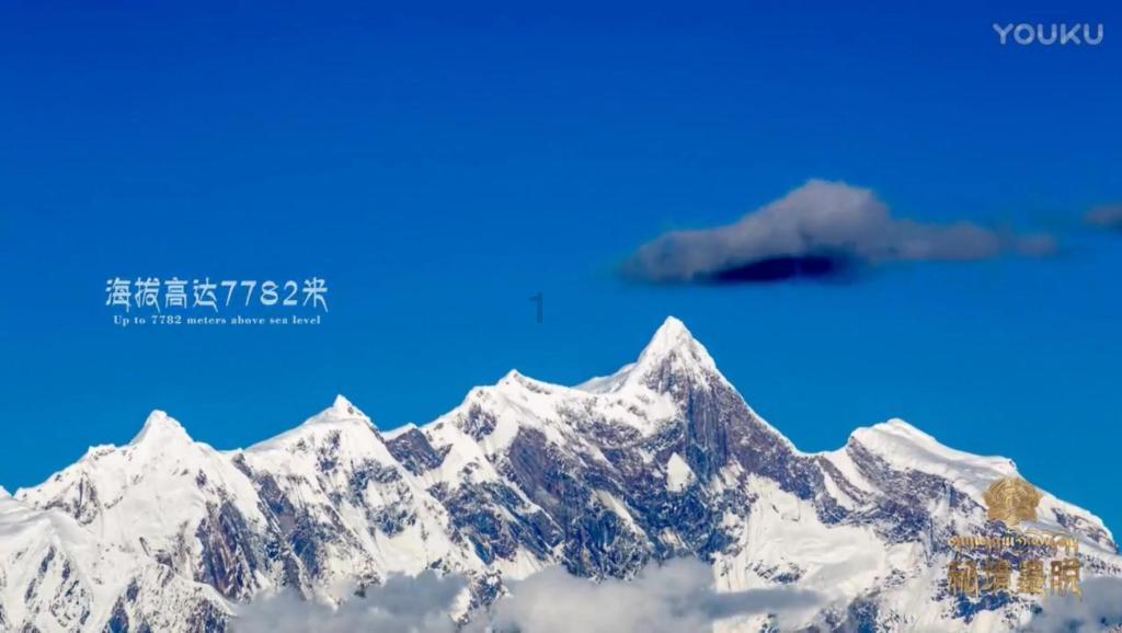 经常喝咖啡，是否会造成钙质流失？