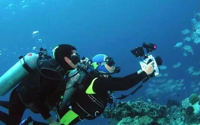 青海12366热线即时办结率高